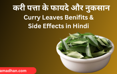 आप भी करी पत्ता का सेवन करते है तो जाने करी पत्ता के 10 फायदे और नुकसान curry Leaves Benefits curry Leaves Side Effects in Hindi